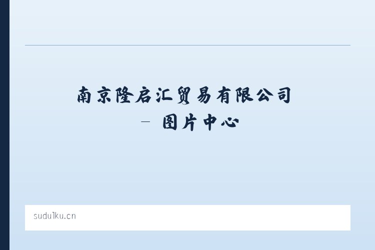 南京隆启汇贸易有限公司 列表图