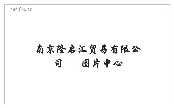 南京隆启汇贸易有限公司 缩略图